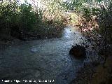 Río Jaén. A la altura de la autovía