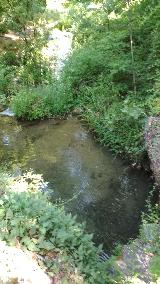 Río Cerezuelo. 