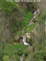 Río Cerezuelo. 