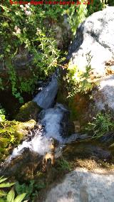 Río Cerezuelo. 