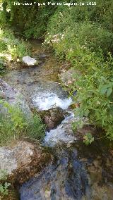 Río Cerezuelo. 