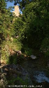 Río Cerezuelo. Con el Castillo de la Yedra al fondo