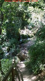Río Cerezuelo. 
