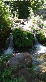 Río Cerezuelo. 