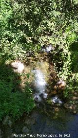 Río Cerezuelo. 