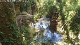 Río Cerezuelo. 