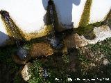 Fuente Las Pilas. Apoyaderos de cántaros