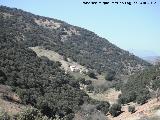 Cortijo de la Umbría. 