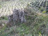 Castelln de Cazalla. Acceso