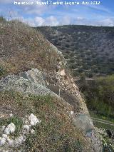 Castelln de Cazalla. Altura