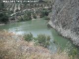 Cantera de Bartolom. Laguna