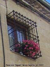 Casa de la Calle Alcalá nº 4. Rejería