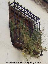 Casa de la Calle Campanario nº 25. Rejería de época