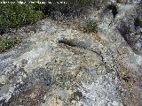 Necrópolis visigoda. Tumbas antropomorfas visigodas