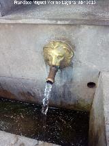 Fuente de la Negra. Caño