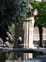 Mezquita Catedral. Fuente de Santa Mara. 