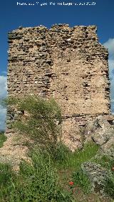 Castillo Torre de Zarracotín. 