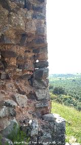 Castillo Torre de Zarracotín. SOS Patrimonio