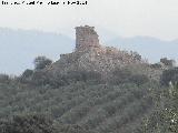 Castillo Torre de Zarracotín. 
