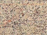 Aldea Los Ríos. Mapa de 1895