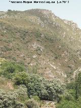 Pen de Benamahoma. 