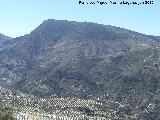 Cerro el Púlpito. 