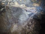 Cueva de la Encantada. Murciélagos en la cueva