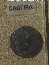 Carteia. As de Carteia año 25. Cástulo. Museo Arqueológico de Linares
