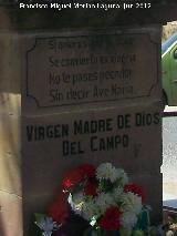 Monumento a la Virgen Madre de Dios del Campo. Inscripción