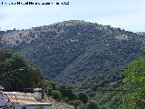 Cerro Peña Rubia. 