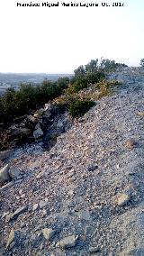 Oppidum Cerro Bollero. Línea de muralla