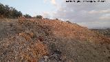 Oppidum Cerro Bollero. Línea de muralla