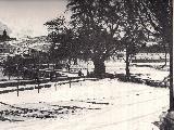 Paseo del Plátano. 1926