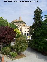 Paseo del Plátano. 