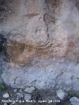 Petroglifos rupestres de El Toril. Conjunto de crculos debajo del antropomorfo con forma de raspa