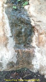 Petroglifos rupestres de El Toril. Venus mojada por su rezume