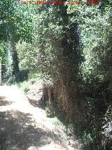 Río Horcajo. Rivera