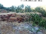 Era del Cerrajón I. 