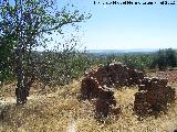 Cortijo de Canuto. Edificación anexa