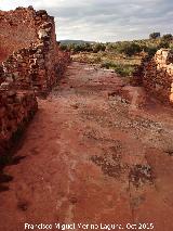 Cortijo de Canuto. Después de la excavación