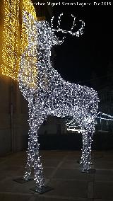 Palacio de la Diputaci�n. Iluminaci�n navide�a