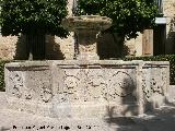 Fuente de la Plaza Vázquez de Molina. 
