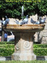 Fuente de la Plaza Vázquez de Molina. 