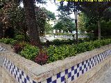 Plaza de la Iglesia. Lugar donde estuvo el Alamo de Fundación