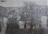 Plaza de la Iglesia. Foto antigua. Álamo de fundación