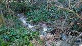 Jabalcuz. Arroyo en las cercan�as de la Aldea Jabalcuz