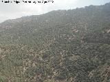 Umbrías del Zumeta. 