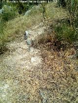 Fortín ibero romano del Peñón del Ajo. Esquina