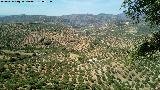 Fortín ibero romano del Peñón del Ajo. Vistas