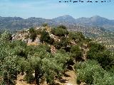 Fortín ibero romano del Peñón del Ajo. 